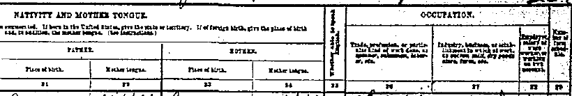 1920 Census Header