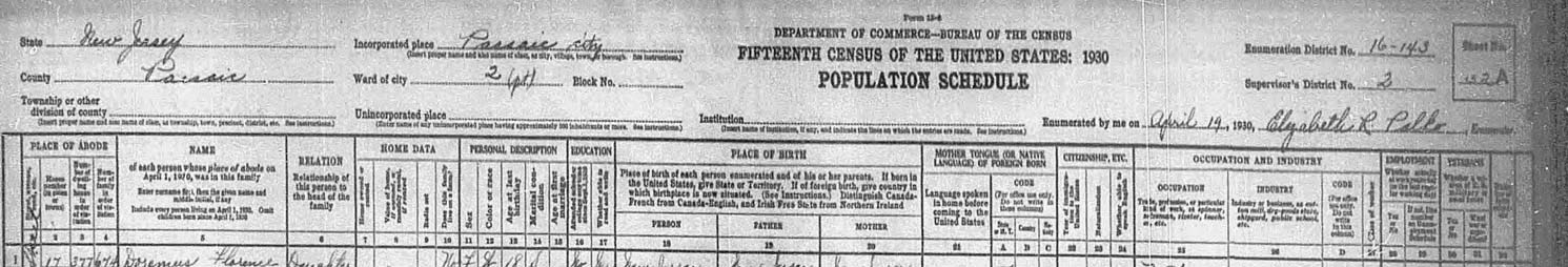 1930 Census Header