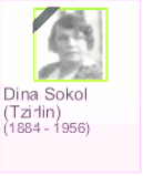 Dina Sokol